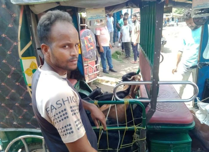 মৃত ছাগল জবাইকালে জনতার হাতে ব্যবসায়ী ধরা,  ভ্রাম্যমান আদালতে জরিমানা
